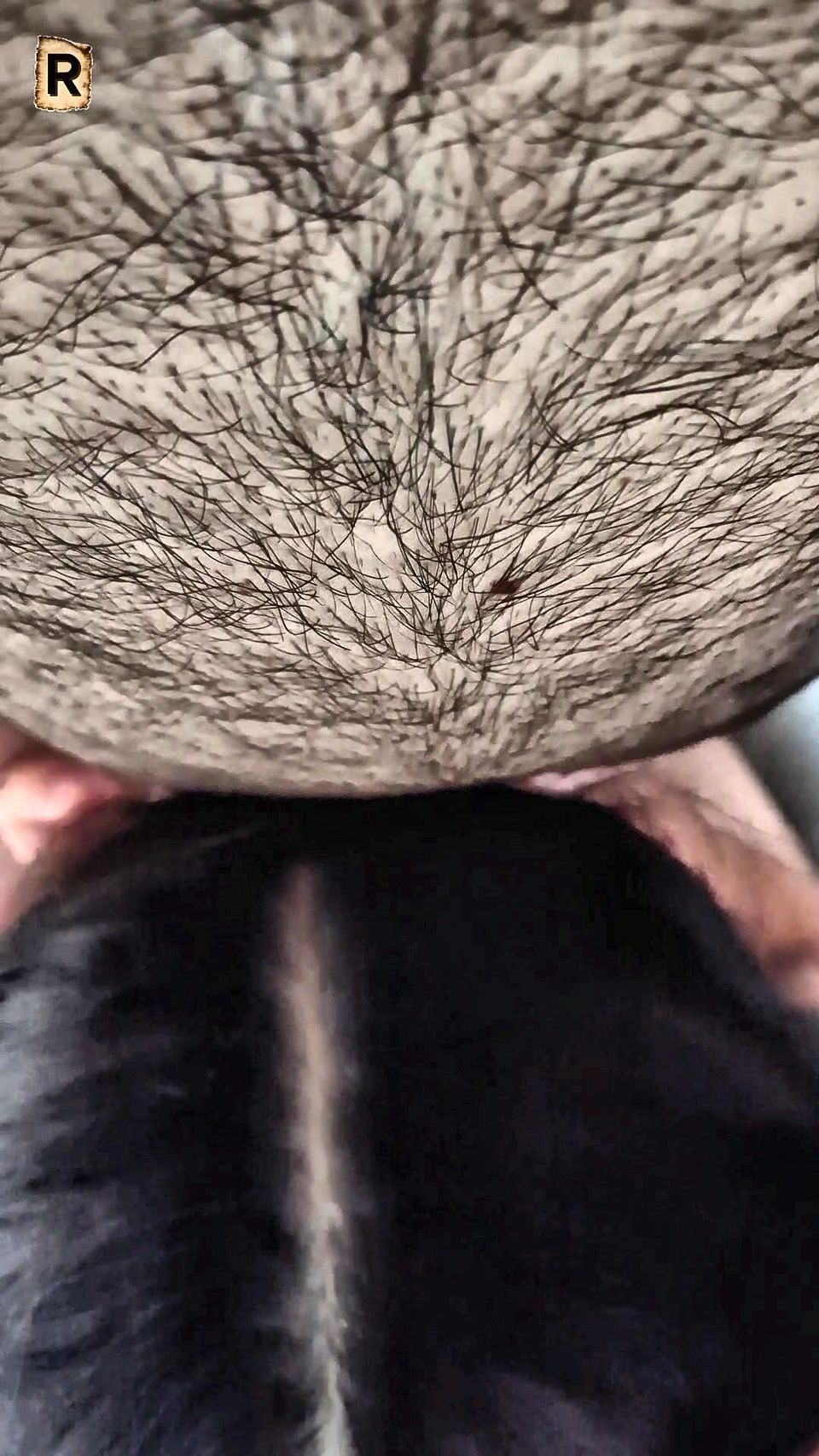 "My wife's breasts are very beautiful."