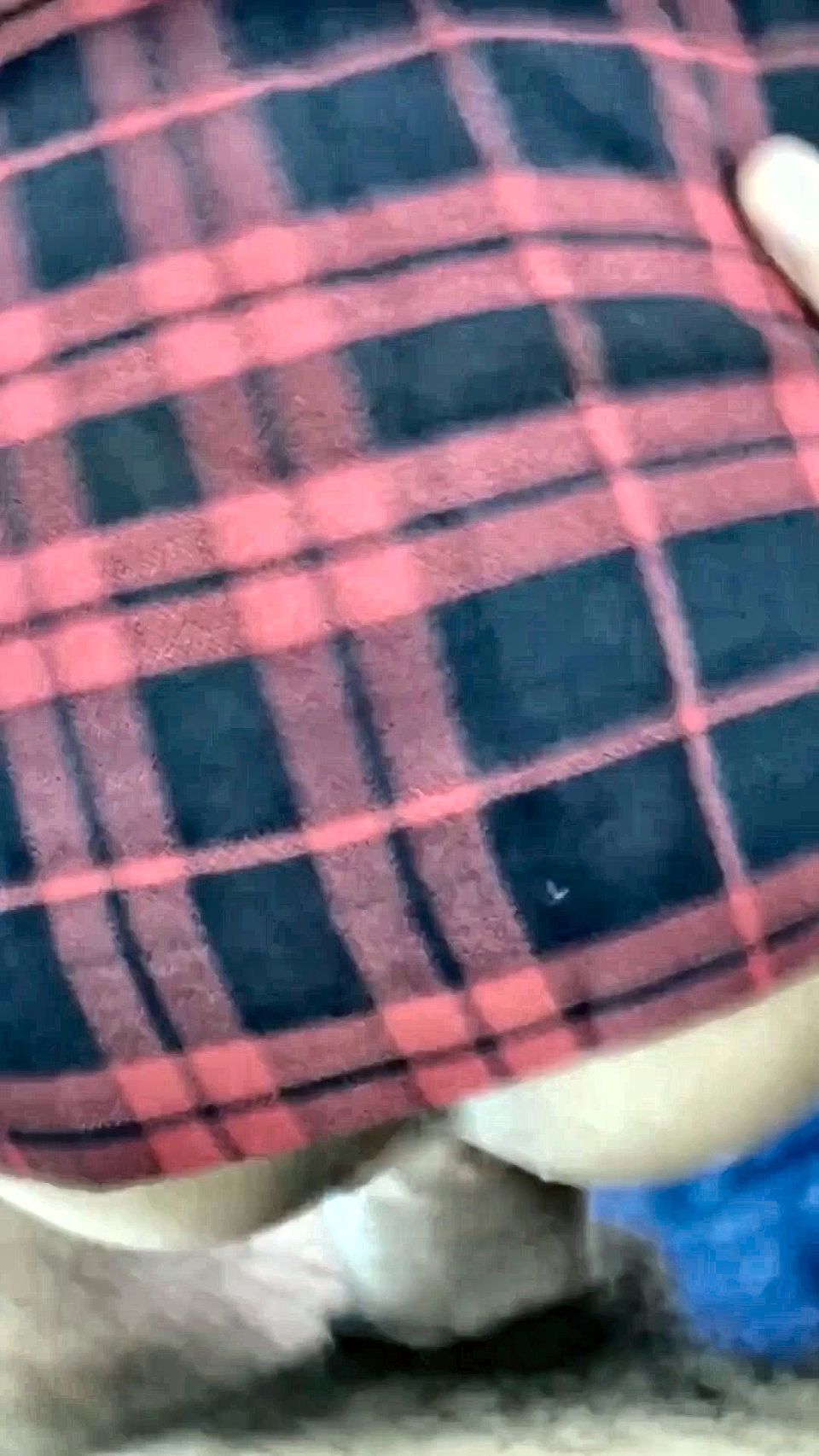 Stepdad Teaches How to Fuck a Very Sweet Pussy with a Monstrous Cock.