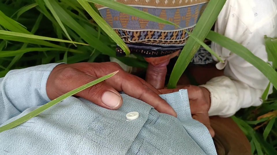 In the millet field, my elder sister-in-law sucked the cock and ass Mari opened the field of millet and killed my sister-in-law's ass