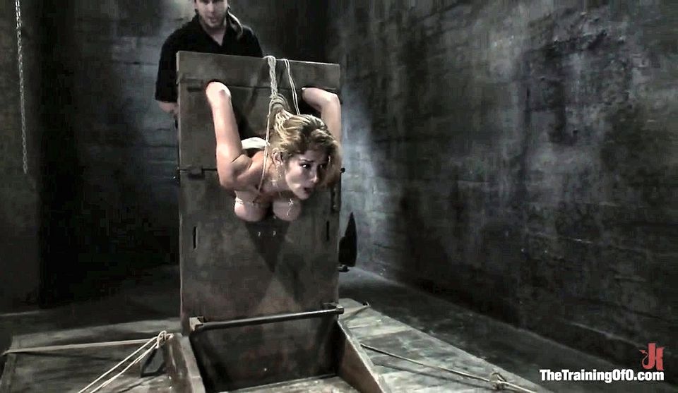 Hard Bodied Slut, Felony, Is Torn Apart During a Long Day of Torment