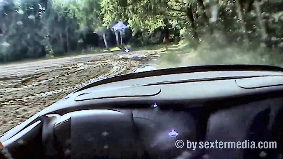 Car Sex with Oggy Style