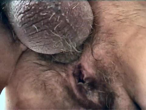 Hairy dirty wife loves to fuck at home with her Husband... italian secrets