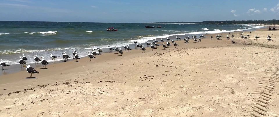 We Travel to the Beach of San Luis