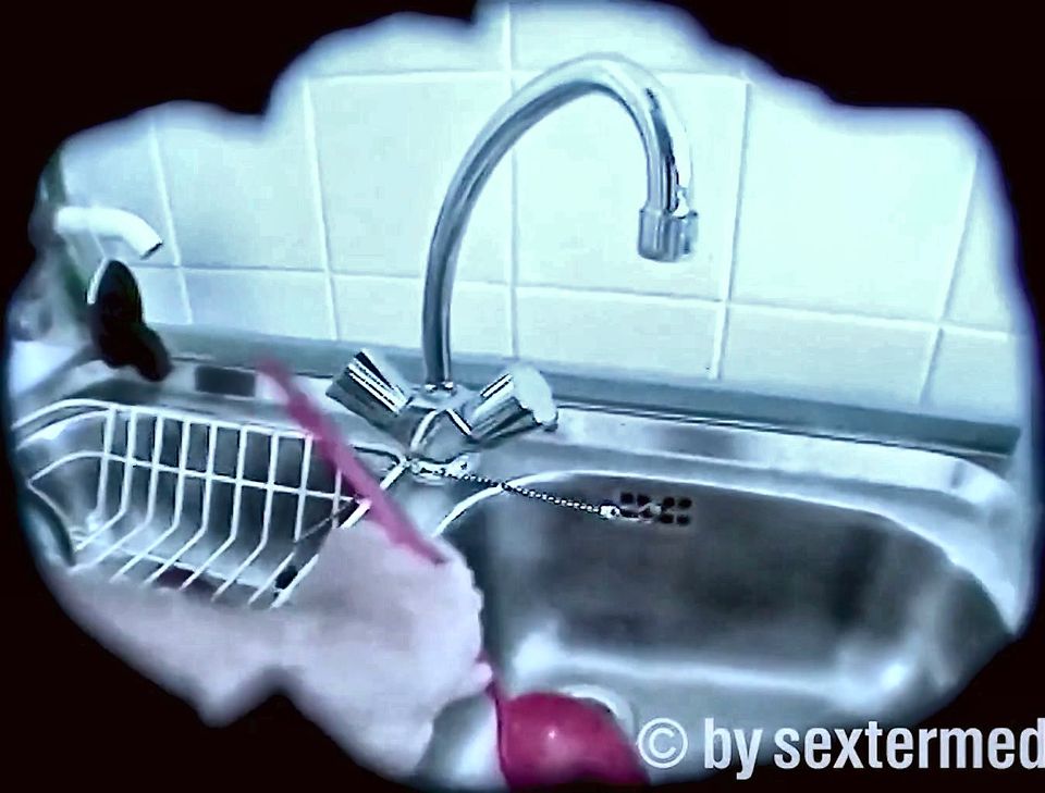 Blowjob of Hairy Latina Pussy