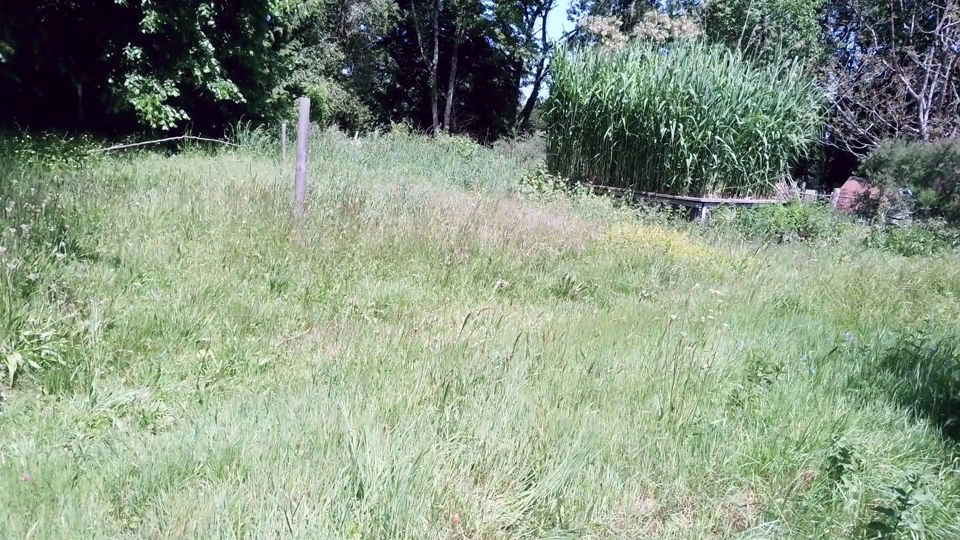 Strong Wife Workday - Strong BBW Uses Her Man as Leg Press After Mowing the Lawn