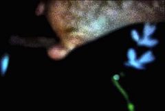 footjob of my wife in the dark