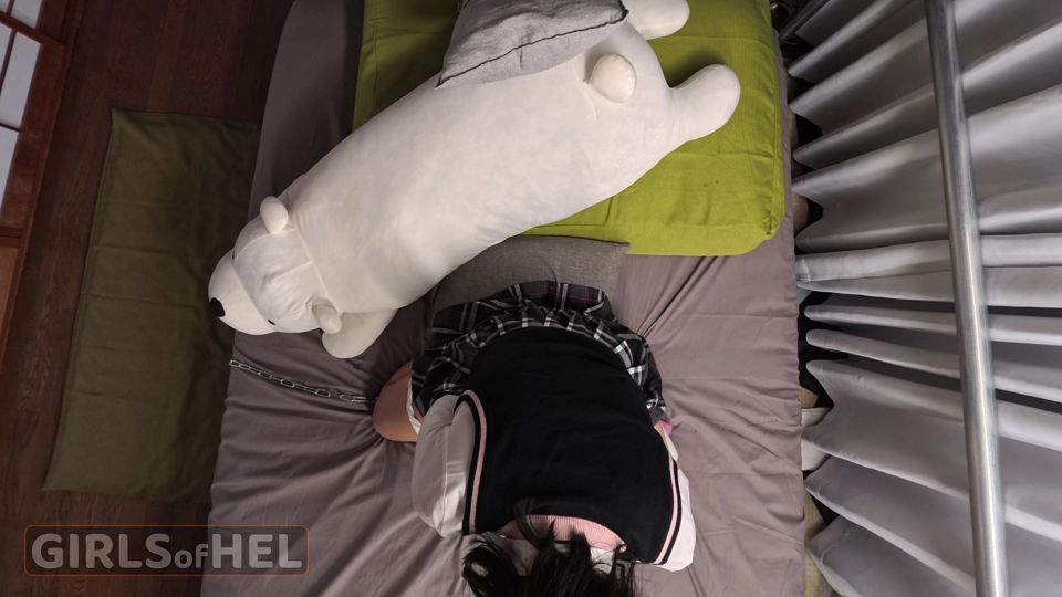 DP with asian anal slut - toys in the pussy, dick in the ass