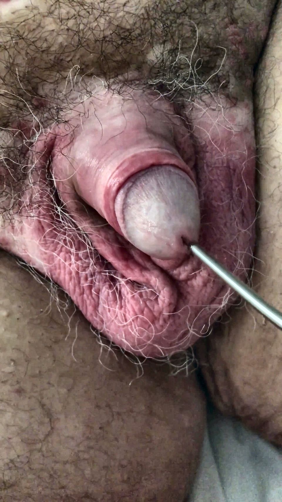 Taking His Sounding Virginity Only Hours After We First Met!