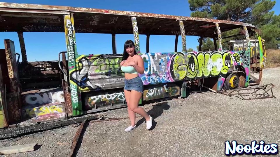 Aleksa Mink Gets Her Gaping Ass Destroyed in Public
