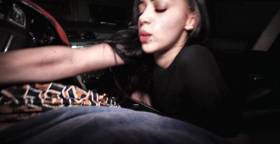 I picked up a whore on the highway and fucked her in the car at night on the street.