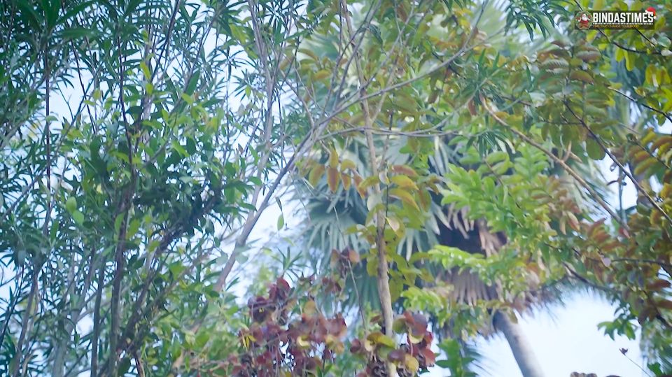 Desi Indian Step Sister Takes Her Step Bros Big Cock Outdoor