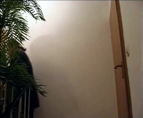 Petite Teen From Germany Got Hardcore Fucked in Her Tight Asshole