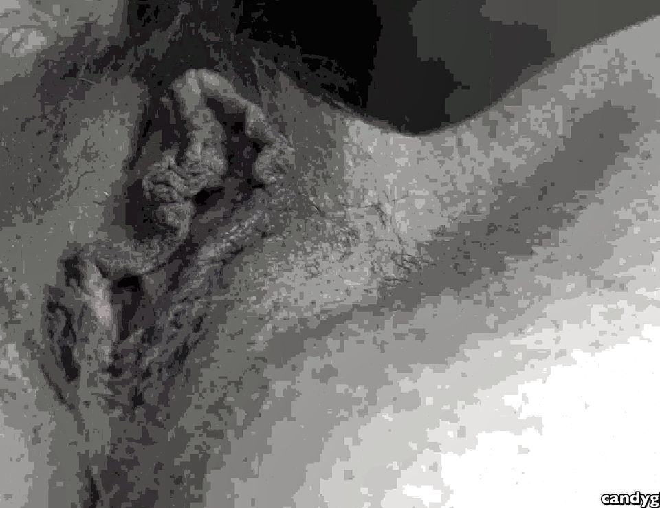 Kobe Lee - Kobe's Pussy Rules