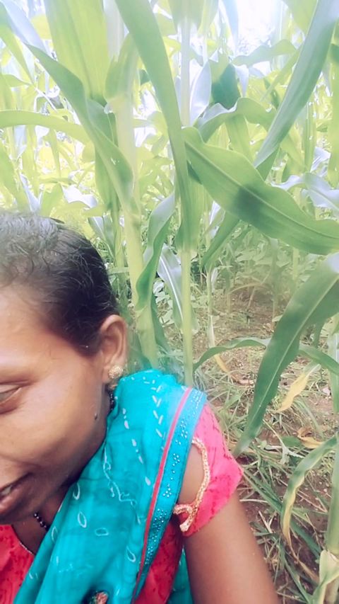 Sister-in-law called me to the field of maize today and sister-in-law sucked my cock and removed the water, then I picked up sister-in-law's two legs and fucked my sister-in-law loudly.