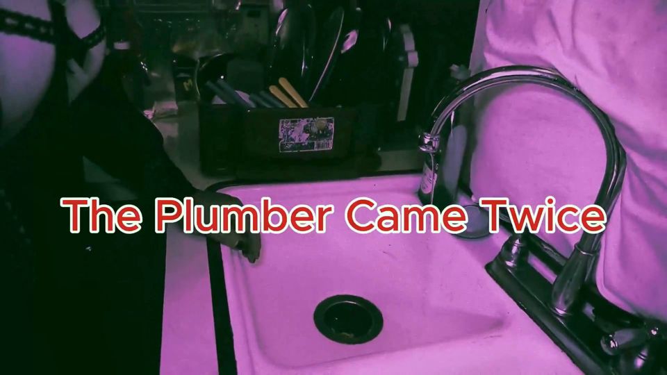 Vicki Vixen - the Plumber Came Twice