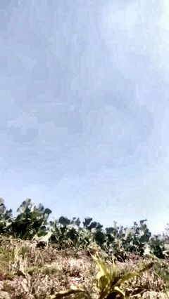 African amateur big tits naked in the village