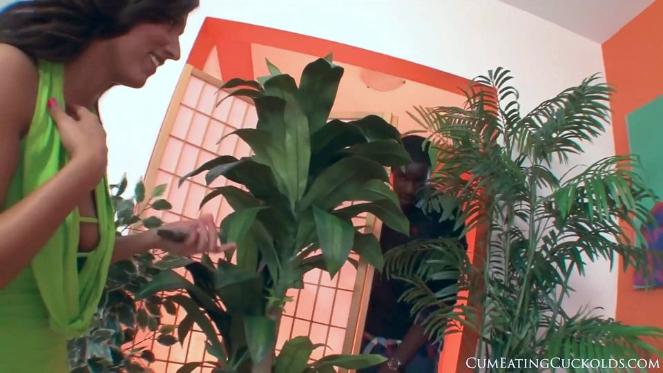 Reena Sky Brings a Black Stud Home for Her Cuckold to See