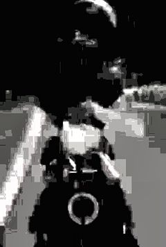 Biker Girl