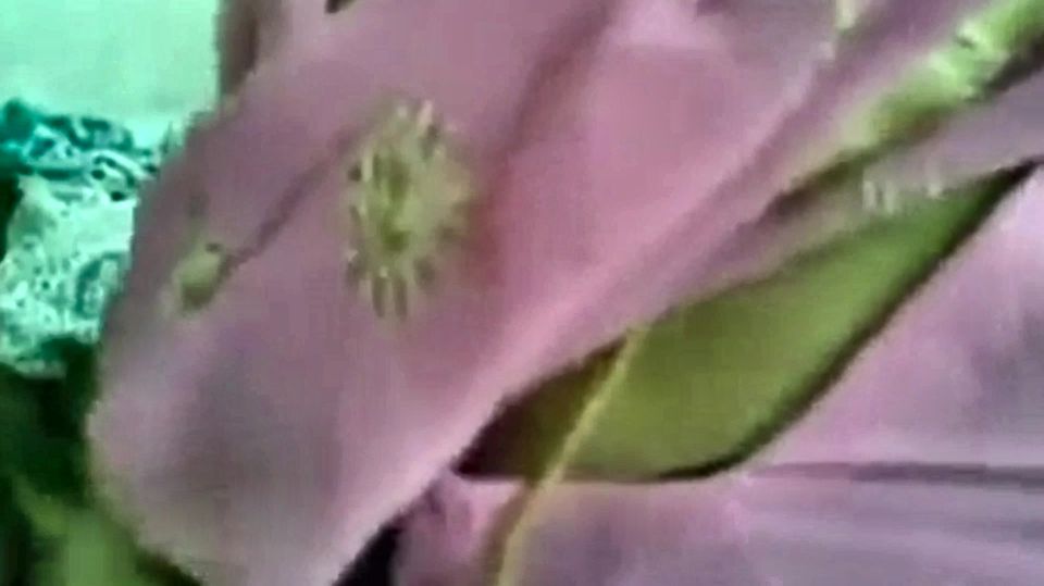 Monique Desi Porn Bhabhi Seducing Her Horny Lover Giving Her Sex