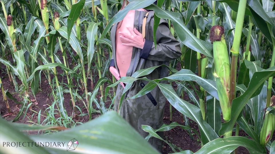 Risky nature cornfield sex in raincoat