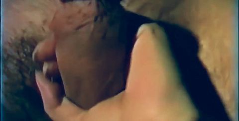 Private Sex Stories Between Real Swinger Couples