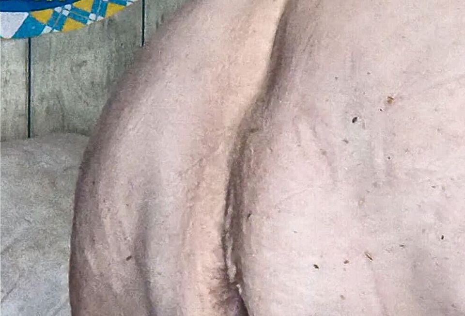 Titty Fucking Blowjob Sucking and Riding That Cock so Fucking Sloppy Hot